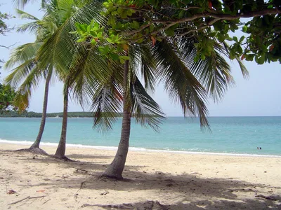 Playa Sun Bay